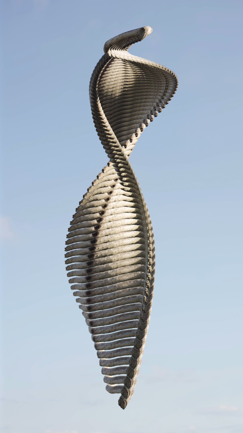 Temporal sculpture chronophotograph 73