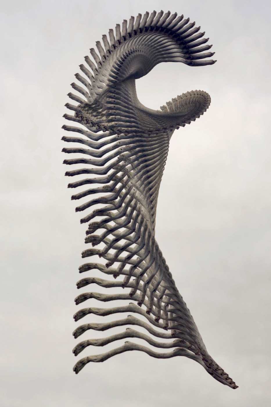 Temporal sculpture study ss3